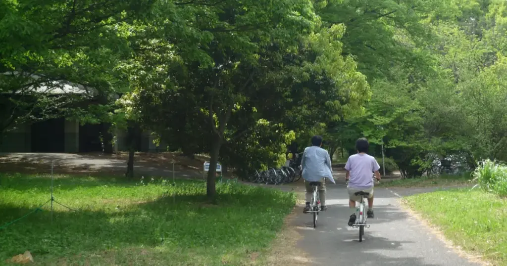 Cycling and Walking Trails
