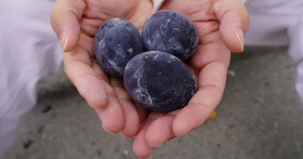 Owakudani Black Eggs