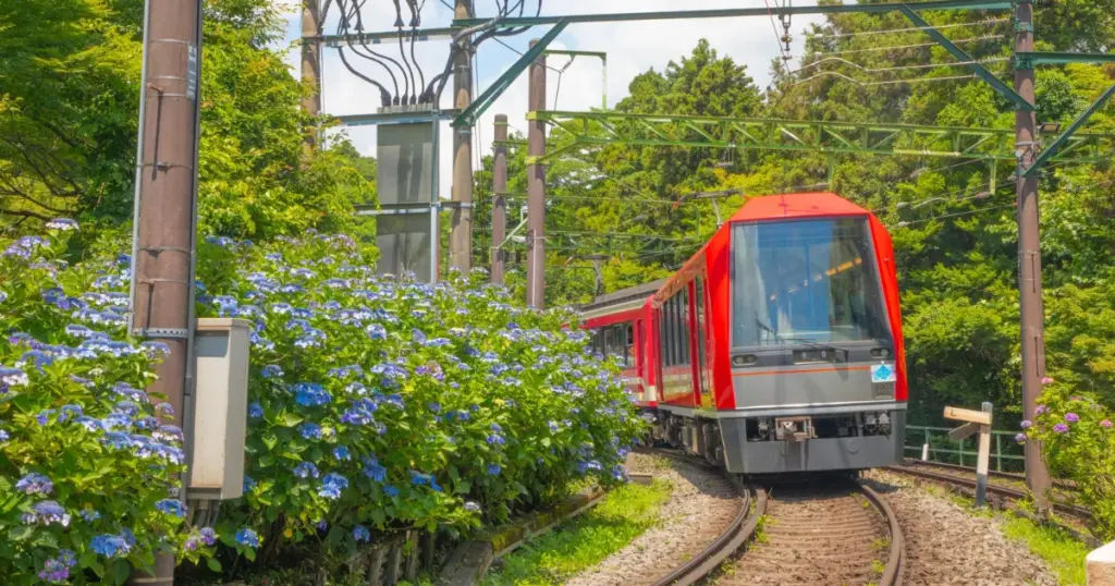 Hakone Tozan Railway Overview