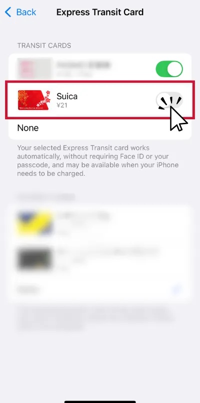 Select your Suica and confirm