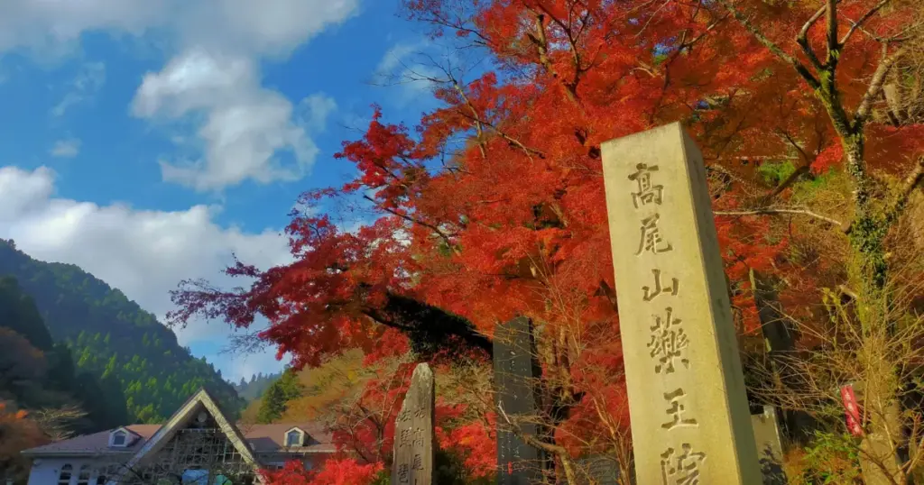 Best Time for Autumn Foliage