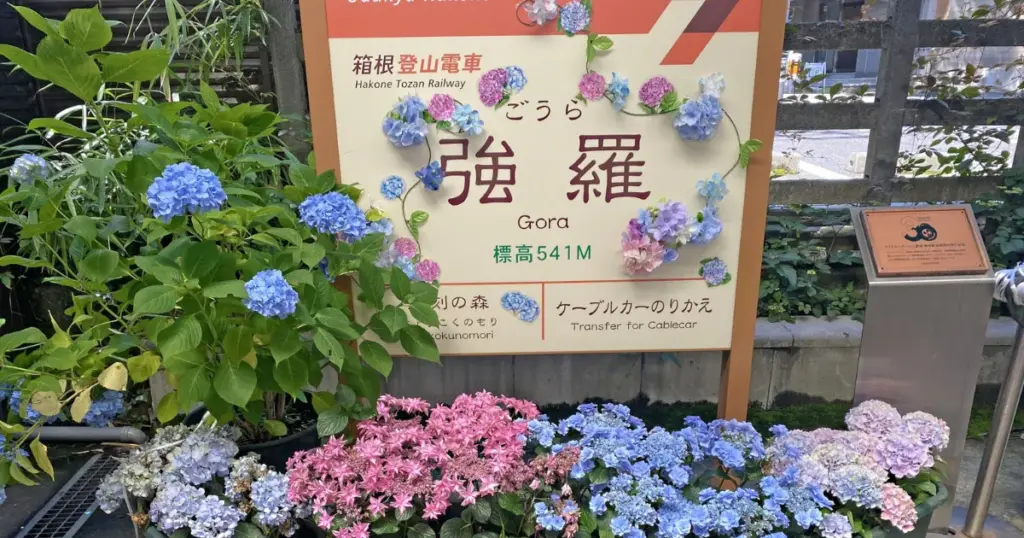 Hakone Tozan Railway Access and Stations
