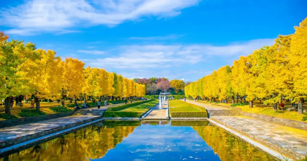 Autumn – Famous for Autumn Leaves