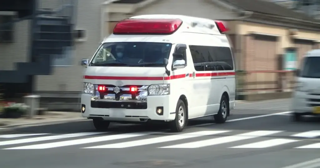 Emergency Services and Multilingual Support