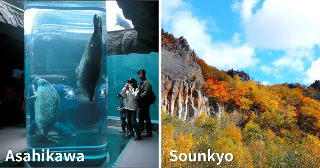 Furano → Asahikawa → Sounkyo