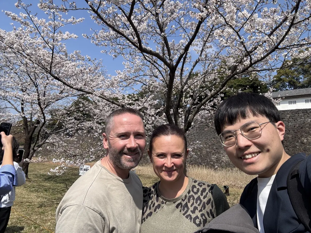 Visitors under cherry blossom beside the stone walls of the Imperial Palace
