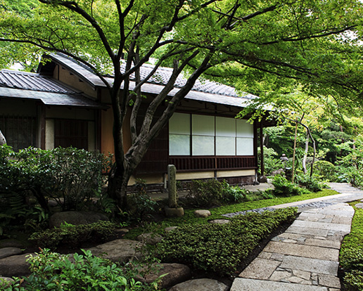 Nezu Museum Garden