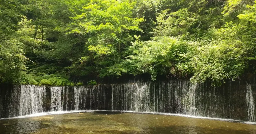 A wide, low waterfall spreading across a mossy rock face in the forest